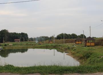 Img 0618